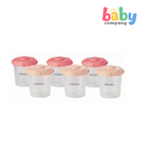 Beaba Set of 6 Clip Portion Food Storage (6M+) - Pink