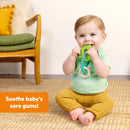 Kids II Bright Starts Ribbit Ring Silicone Teether