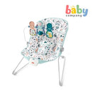 Fisher Price Basic Wire Baby's Bouncer