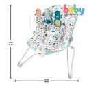 Fisher Price Basic Wire Baby's Bouncer