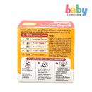 Pigeon 1pc Wide-Neck Version 3 Nipple Box (SS)