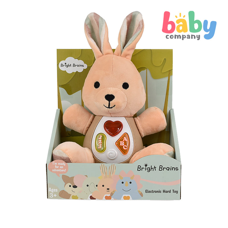 Bright Brains Electronic Musical Toy - Rabbit