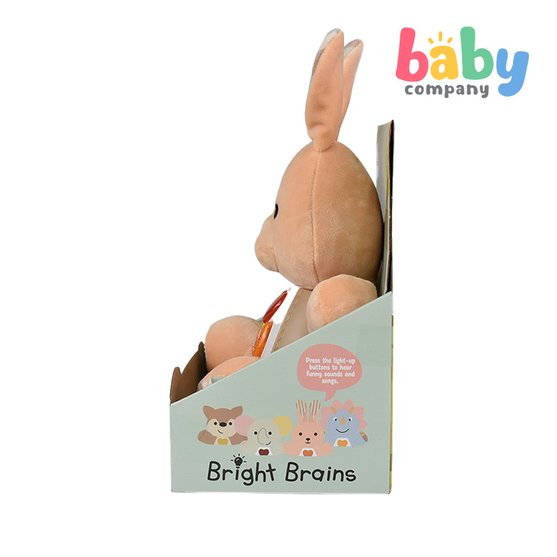 Bright Brains Electronic Musical Toy - Rabbit