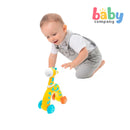 Chicco Baby Sense & Focus Push & Go Giraffe Toy