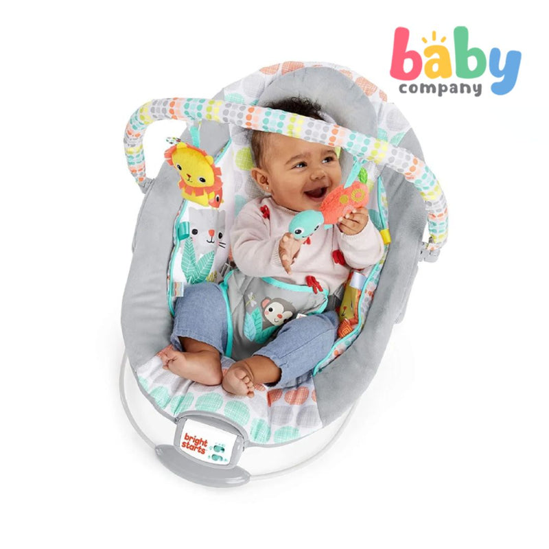 Bright Starts Whimsical Wild - Cradling Bouncer