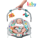 Kids II Bright Starts Toucan Tango Cradling Bouncer