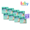 Rascals Diapers Pants Convenience Pack Box - XXL, 80 pads