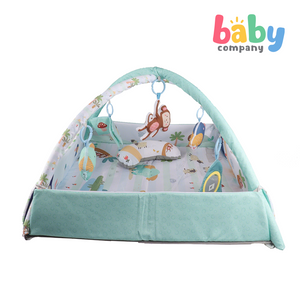 Baby Company 3-In-1 Baby Fitness Playgym with Fence - Green