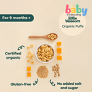 Little Blossom Organic Brown Rice Puffs Pumpkin 40g