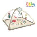 Fisher Price Newborn Gym