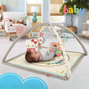 Fisher Price Newborn Gym
