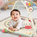 Fisher Price Newborn Gym