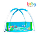 Fisher Price Baby Activity Gym & Ball Pit