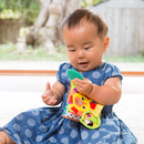 Infantino Link & Squeak Animal Crinkle Book