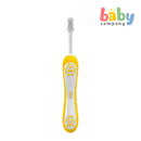 Chicco Combo Toothbrush 6-36 Months - Lilac/Mustard