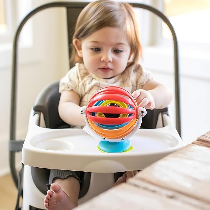 Kids II Baby Einstein Sticky Spinner Activity Toy