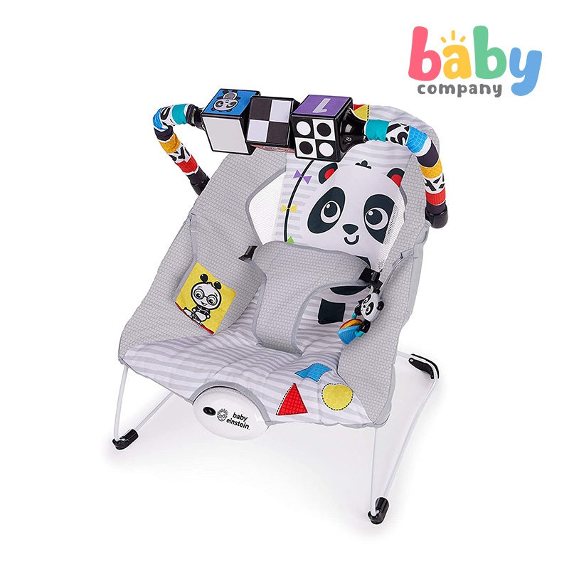 Bright Starts Baby Einstein More to See High Contrast Bouncer