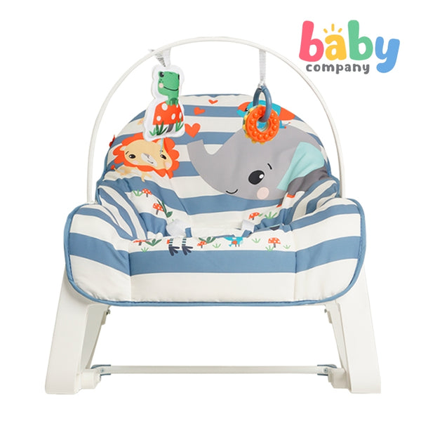 Fisher Price Infant-to-Toddler Rocker