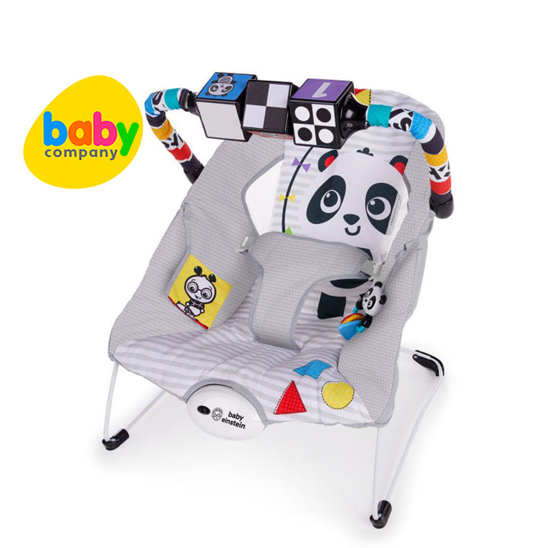 Bright Starts Baby Einstein More to See High Contrast Bouncer