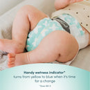 Rascals Diapers Tape, Convenience Pack - Large, 18 pads